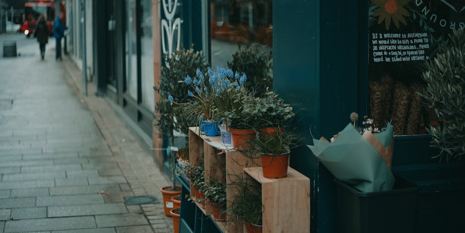 A display of potted flowering plants outside eastcoteflowers.co.uk shop, arranged on wooden shelves and a ledge close to the shop window. The plants include a variety of species with green foliage and