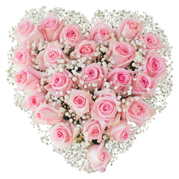A perfect heart constructed from dozens of soft-pink roses occupies the visual field, each flower placed with deliberate closeness to form a plush, continuous surface. The palette reads as a study in pale pink: ice-blush petals at the periphery graduate into slightly warmer pinks in the centre, creating a soft, sculpted depth. Mixed among the roses, abundant sprays of tiny white gypsophila-baby's breath-float like miniature clouds, their fine texture contrasting the broader, velvety rose petals and helping to carve the heart's contours against an immaculate white background. Lighting here is bright and even, washing each petal with clarity so that the subtle veining and the tender curling of edges are visible; a hint of cool green foliage lies beneath but remains discreet, allowing the pink and white to remain dominant. The composition reads as reverent and intimate, evocative of vows, anniversaries, and quiet proclamations of love: a piece that would sit beautifully on a wedding table, beside a commemorative photo, or as a delicately formal Valentine's gesture. The arrangement conveys not only visual beauty but an implied sensory experience-the gentle satiny touch of petals, a light floral perfume, and the faint papery rustle as stems are adjusted-evidence of thoughtful craft. Locally, this style is well suited to events near Field End Road and Eastcote's village gatherings, where understated romance and classic floral language are cherished.