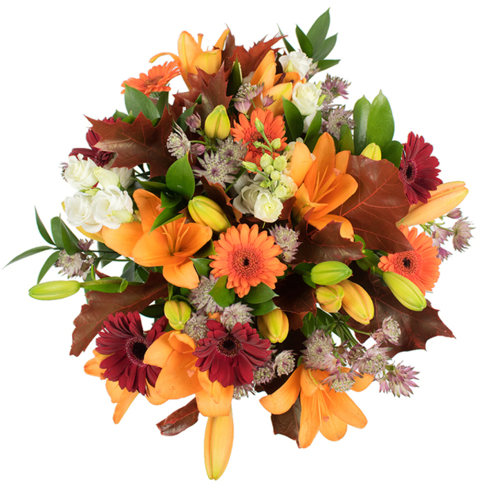 A lush, garden-inspired autumn bouquet arranged with the kind of care you'd expect from a local Eastcote florist. In this elevated overhead shot, several expansive orange Asiatic lilies take centre stage, their broad, trumpet-shaped petals opened like little suns. Interspersed are vivid orange Gerbera daisies and deep burgundy Gerberas, each with a dark centre that gives depth and a rustic charm. Cream-coloured Lisianthus form gentle, ruffled pockets of calm amid the stronger hues, while pale purple Astrantia offers a fine, starry texture that reads almost like delicate lace. The arrangement is grounded by large, reddish-brown leaves reminiscent of oak or maple, placed to suggest the comfortable mess of leaves along Eastcote High Street in October; bright green foliage and slender stems provide lift and fresh contrast. Carefully clustered lily buds in soft green and peach promise the bouquet will open further in the days after delivery, adding longevity to its immediate impact. The flowers are set against a pure white background with crisp, even lighting, which makes the warm autumn palette glow and highlights the tactile contrasts-from satiny petals to papery, lobed leaves. Thoughtfully composed for seasonal decorating, Thanksgiving dining or gifting to someone who enjoys the countryside feel in town, this arrangement is the kind of fresh, abundant bouquet Eastcote Flowers might prepare for local delivery around Eastcote and neighbouring Pinner, crafted to evoke harvest warmth and heartfelt celebration.