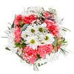 This exquisite bouquet, a signature of Eastcote's floral artistry, captures the uplifting spirit of a local spring afternoon. At its centre, cheerful white daisies with luminous lime-green eyes anchor the arrangement in innocence and joy. Coral-pink carnations, rich with plush ruffled petals, tumble around the daisies to create a harmony of colour and texture, while intricate clouds of gypsophila bring soft lightness throughout. Subtle accents of alstroemeria with purple-veined buds and matte eucalyptus leaves peek out, adding tonal depth and a gentle fragrance that calls to mind walks near Cavendish Recreation Ground. The bouquet's composition feels fresh and exuberant, each stem chosen and placed to create a rounded, welcoming display that breathes life into any space. Ideal for birthdays, anniversaries, or simply to brighten a loved one's home, its blend of classic and contemporary elements reflects the warm community spirit and natural beauty of Eastcote, available for local delivery or as a heartfelt gift from Eastcote Flowers.